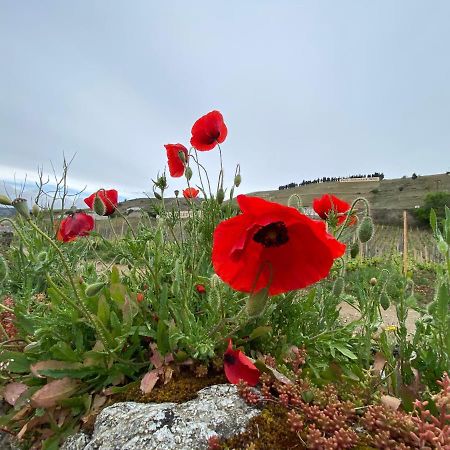 Tain-lʼHermitage Le Pavillon De L'Hermitage - Spa Ouvert D'Avril A Octobre 빌라 외부 사진