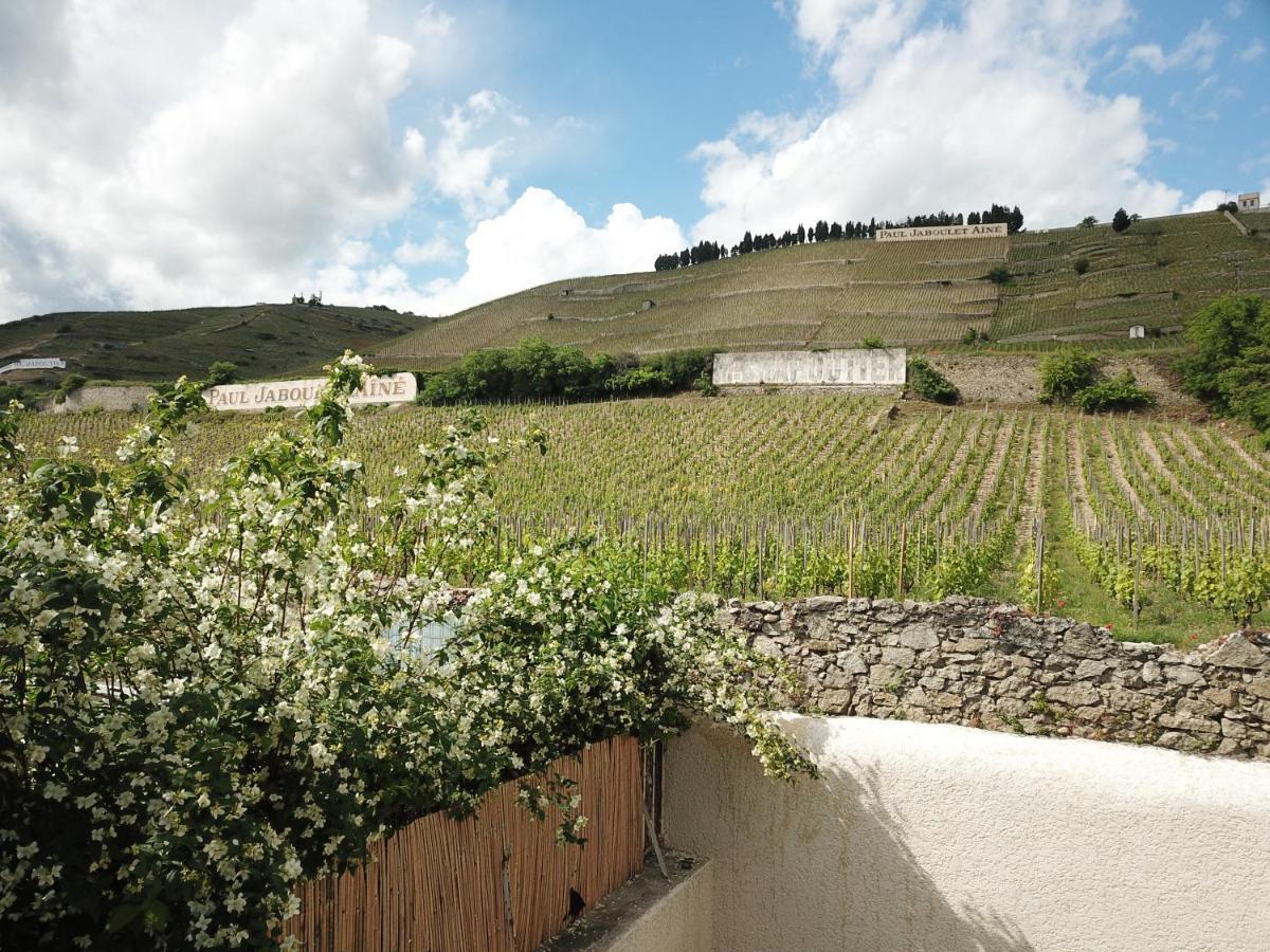 Le Pavillon De L'Hermitage - Spa Ouvert D'Avril A Octobre Tain-lʼHermitage 외부 사진